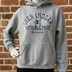 Champion Heather Gray Shenandoah Hoodie